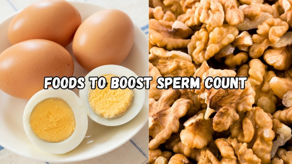 foods-to-boost-sperm-count foods-to-boost-sperm-count
