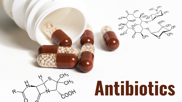 antibiotics antibiotics