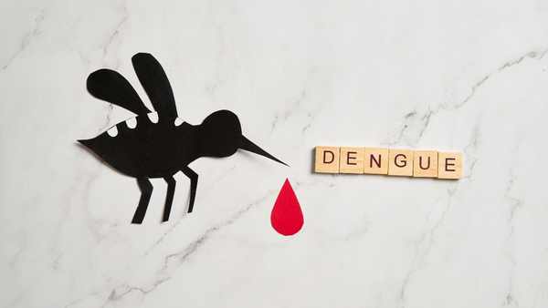 dengue dengue