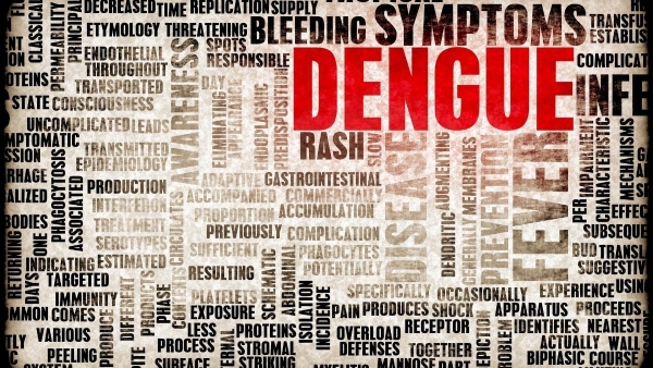 dengue-threat-in-kids dengue-threat-in-kids