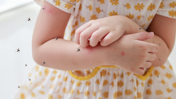 dengue in kids dengue in kids