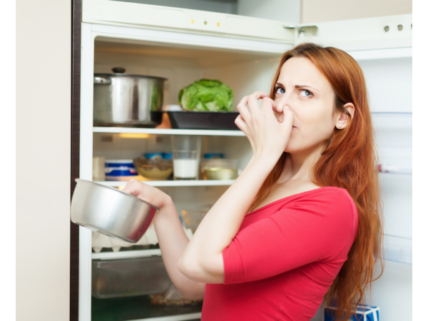 Forgotten Food Fridge Safety