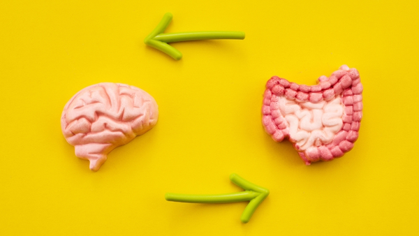 gut-brain-axis gut-brain-axis