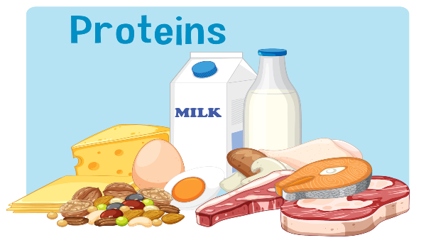 Protein Protein
