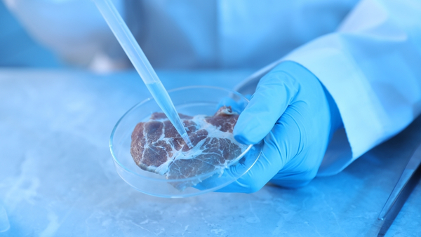 regenerative medicine