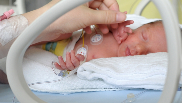 baby-In-incubator baby-In-incubator
