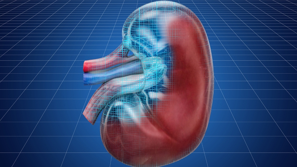 Kidney dysfunction Kidney dysfunction
