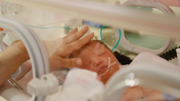 premature-baby-in-NICU premature-baby-in-NICU
