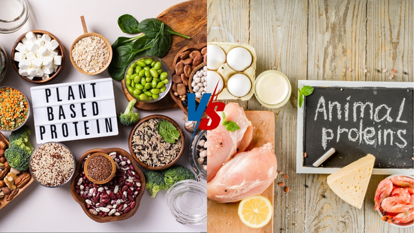 animal-vs-plant-protein animal-vs-plant-protein