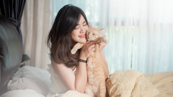 cats-as-pets cats-as-pets