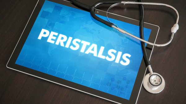 Peristalsis Peristalsis