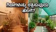 ಬಿರುಗಾಳಿ ಮತ್ತು ಬಿಸಿಲ ಬೇಗೆ: ನಿಮ್ಮ ಮನೆ ಮತ್ತು ಗಿಡಗಳನ್ನು ರಕ್ಷಿಸಿಕೊಳ್ಳುವುದು ಹೇಗೆ?