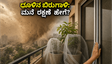 ದೆಹಲಿ ಧೂಳಿನ ಬಿರುಗಾಳಿ: ನಿಮ್ಮ ಮನೆ ಮತ್ತು ಗಿಡಗಳನ್ನು ಸುರಕ್ಷಿತವಾಗಿಡಲು ಈ 500 ರೂಪಾಯಿಯ ಟಿಪ್ಸ್ ಮಿಸ್ ಮಾಡ್ಬೇಡಿ!