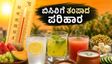 44°C ಬಿಸಿಲಿನಲ್ಲಿ ಸುಸ್ತಾಗುತ್ತಿದ್ದೀರಾ? ದೇಹವನ್ನು ತಂಪಾಗಿಡಲು ಈ 3 ಪದಾರ್ಥಗಳು ನಿಮ್ಮ ಅಡುಗೆಮನೆಯಲ್ಲೇ ಇವೆ!