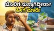 ಬಿಸಿಲ ಧಗೆಯಿಂದ ಸುಸ್ತಾಗಿದ್ದೀರಾ? ದೇಹವನ್ನು ತಂಪಾಗಿಡಲು ಈ ಪಾನೀಯಗಳೇ ಮದ್ದು!