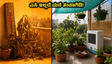 ಬಿಸಿಲ ಬೇಗೆಯಿಂದ ಮನೆ ತತ್ತರ: ಎಸಿ ಇಲ್ಲದೆಯೇ ಮನೆಯನ್ನು ತಂಪಾಗಿಡಲು ಮತ್ತು ಗಿಡಗಳನ್ನು ಉಳಿಸಲು ಈ ಸರಳ ಉಪಾಯಗಳನ್ನು ಮಿಸ್ ಮಾಡ್ಬೇಡಿ!
