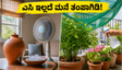 ಶಾಖದ ಅಲೆ ಎಚ್ಚರಿಕೆ: ಎಸಿ ಇಲ್ಲದೆ ಮನೆಯನ್ನು ತಂಪಾಗಿಡಲು ಮತ್ತು ನಿಮ್ಮ ಗಿಡಗಳನ್ನು ಬಿಸಿಲಿನಿಂದ ರಕ್ಷಿಸಲು ಇಲ್ಲಿವೆ ಬೆಸ್ಟ್ ಟಿಪ್ಸ್!