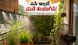 ಉರಿಬಿಸಿಲಿಗೆ ಮನೆ ಕುದಿಯುತ್ತಿದೆಯೇ? ಎಸಿ ಇಲ್ಲದೆಯೇ ನಿಮ್ಮ ಮನೆಯನ್ನು ತಂಪಾಗಿಸುವ ಸರಳ ಮ್ಯಾಜಿಕ್ ಟಿಪ್ಸ್ ಇಲ್ಲಿದೆ!