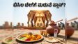 ಬೇಸಿಗೆ ಮದುವೆ ಸಂಭ್ರಮ: ಬಿಸಿಲ ಬೇಗೆಯಿಂದ ಅತಿಥಿಗಳನ್ನು ರಕ್ಷಿಸಲು ಇಲ್ಲಿದೆ ಮಾಸ್ಟರ್ ಪ್ಲಾನ್