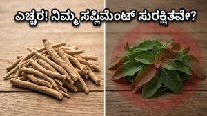 ಅಶ್ವಗಂಧದ ಎಲೆಗಳ ಬಳಕೆ ನಿಷೇಧ: ನಿಮ್ಮ ನೆಚ್ಚಿನ ಹೆಲ್ತ್ ಸಪ್ಲಿಮೆಂಟ್ಸ್ ಮಾರುಕಟ್ಟೆಯಿಂದ ಮಾಯವಾಗುತ್ತಾ?
