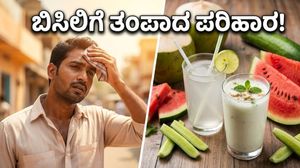 ಬಿಸಿಲ ಬೇಗೆಯಿಂದ ಪಾರಾಗಲು ಈ ಸರಳ ಟಿಪ್ಸ್ ಪಾಲಿಸಿ: ಸುಡುವ ಬಿಸಿಲಿನಲ್ಲಿ ಆರೋಗ್ಯವಾಗಿರುವುದು ಹೇಗೆ?