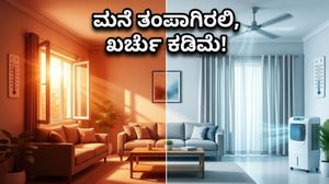 ಬಿಸಿಗಾಳಿಯ ಆರ್ಭಟ: ನಿಮ್ಮ ಮನೆಯನ್ನು ಫ್ರಿಡ್ಜ್‌ನಂತೆ ತಂಪಾಗಿಡಲು ಇಲ್ಲಿವೆ ಅದ್ಭುತ ದೇಸಿ ಟಿಪ್ಸ್!