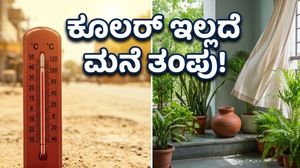 ಸುಡುವ ಬಿಸಿಲಲ್ಲೂ ಮನೆ ತಂಪಾಗಿರಬೇಕೆ? ಕಡಿಮೆ ಖರ್ಚಿನಲ್ಲಿ ಕೂಲರ್ ಇಲ್ಲದೆ ತಂಪಾಗಿಸಲು ಇಲ್ಲಿದೆ ಮ್ಯಾಜಿಕ್ ಟಿಪ್ಸ್!