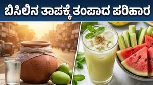 ಭಾರತದಲ್ಲಿ ಸುಡುವ ಬಿಸಿಲು: ಹೀಟ್ ವೇವ್‌ನಿಂದ ಪಾರಾಗಲು ಇಲ್ಲಿವೆ ಬೆಸ್ಟ್ ಡಯಟ್ ಮತ್ತು ಹೈಡ್ರೇಶನ್ ಟಿಪ್ಸ್!