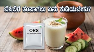 ಹೀಟ್‌ವೇವ್ ಎಫೆಕ್ಟ್: ಸುಡುವ ಬಿಸಿಲಿಗೆ ತಂಪಾಗಲು ಮಜ್ಜಿಗೆ, ಎಳನೀರು ಸಾಕಾ? ಇಲ್ಲಿದೆ ಆರೋಗ್ಯದ ಗುಟ್ಟು