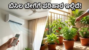 ಬಿಸಿಗಾಳಿಯ ಅಬ್ಬರ ಶುರು: ನಿಮ್ಮ ಮನೆ ತಂಪಾಗಿರಲು ಮತ್ತು ಗಿಡಗಳನ್ನು ಉಳಿಸಲು ಈ ಸೀಕ್ರೆಟ್ ಟಿಪ್ಸ್ ಮಿಸ್ ಮಾಡ್ಬೇಡಿ!