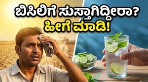 ಬಿಸಿಲ ಧಗೆಯಿಂದ ಸುಸ್ತಾಗಿದ್ದೀರಾ? ದೇಹವನ್ನು ತಂಪಾಗಿಡಲು ಈ ಪಾನೀಯಗಳೇ ಮದ್ದು!