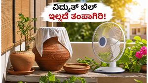 ಬಿಸಿಲ ಬೇಗೆಯಿಂದ ತತ್ತರಿಸಿದ್ದೀರಾ? ವಿದ್ಯುತ್ ಬಿಲ್ ಇಲ್ಲದೆ ಮನೆಯನ್ನು ತಂಪಾಗಿಡಲು ಇಲ್ಲಿದೆ ಮ್ಯಾಜಿಕ್ ಟಿಪ್ಸ್!