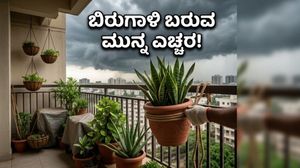 IMD ರೆಡ್ ಅಲರ್ಟ್: ಬಿರುಗಾಳಿ ಅಬ್ಬರಕ್ಕೆ ನಿಮ್ಮ ಬಾಲ್ಕನಿ ಮತ್ತು ಗಿಡಗಳು ಬಲಿಯಾಗದಿರಲಿ, ಈ ಕೆಲಸ ತಕ್ಷಣ ಮಾಡಿ!
