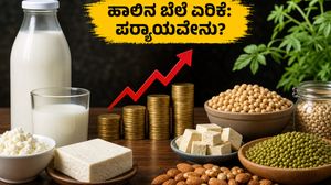 ಹಾಲಿನ ಬೆಲೆ ಏರಿಕೆ: ಅಡುಗೆಮನೆಯ ಬಜೆಟ್ ಹಾಳಾಗದಂತೆ ಆರೋಗ್ಯ ಕಾಪಾಡಿಕೊಳ್ಳಲು ಈ ಪರ್ಯಾಯ ಆಹಾರಗಳೇ ದಾರಿ!