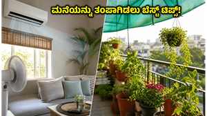 ಉತ್ತರ ಭಾರತದಲ್ಲಿ ಸುಡುವ ಬಿಸಿಲು: ಮನೆಯನ್ನು ತಂಪಾಗಿಡಲು ಮತ್ತು ಗಿಡಗಳನ್ನು ಬಚಾವ್ ಮಾಡಲು ಈ ಟಿಪ್ಸ್ ಫಾಲೋ ಮಾಡಿ!