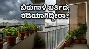 ಬಿರುಗಾಳಿ ಅಬ್ಬರಕ್ಕೆ ಬಾಲ್ಕನಿ ಗಾರ್ಡನ್ ಹಾಳಾಗುತ್ತಾ? ನಿಮ್ಮ ಮನೆ ಮತ್ತು ಗಿಡಗಳನ್ನು ರಕ್ಷಿಸಲು ಈ ಟಿಪ್ಸ್ ಮಿಸ್ ಮಾಡ್ಬೇಡಿ!