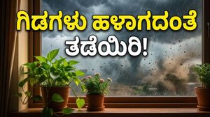 ಬಿರುಗಾಳಿ ಮಳೆಗೆ ನಿಮ್ಮ ಬಾಲ್ಕನಿ ಗಾರ್ಡನ್ ನಲುಗುತ್ತಿದೆಯೇ? ಗಿಡಗಳನ್ನು ಉಳಿಸಲು ಈ ಟಿಪ್ಸ್ ಮಿಸ್ ಮಾಡ್ಬೇಡಿ!