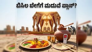 ಬೇಸಿಗೆ ಮದುವೆ ಸಂಭ್ರಮ: ಬಿಸಿಲ ಬೇಗೆಯಿಂದ ಅತಿಥಿಗಳನ್ನು ರಕ್ಷಿಸಲು ಇಲ್ಲಿದೆ ಮಾಸ್ಟರ್ ಪ್ಲಾನ್