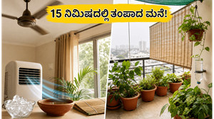 ಮುಂಬೈ ಬಿಸಿಲು ಮತ್ತು ಆರ್ದ್ರತೆ: 15 ನಿಮಿಷದಲ್ಲಿ ನಿಮ್ಮ ಮನೆಯನ್ನು ತಂಪಾಗಿರಿಸುವ ಸರಳ ಉಪಾಯಗಳು!