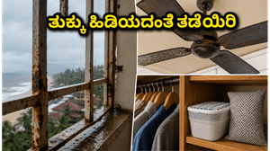 ಮಳೆಗಾಲದ ತೇವಾಂಶದಿಂದ ನಿಮ್ಮ ಮನೆ ಮತ್ತು ವಸ್ತುಗಳನ್ನು ರಕ್ಷಿಸಲು ಇಲ್ಲಿವೆ ಸರಳ ಟಿಪ್ಸ್!