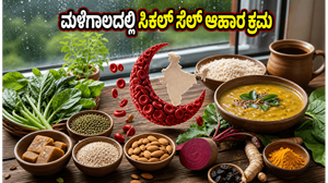 ಮಳೆಗಾಲದಲ್ಲಿ ಸಿಕಲ್ ಸೆಲ್ ಸಮಸ್ಯೆ: ಆರೋಗ್ಯ ಕಾಪಾಡಲು ಈ ಆಹಾರ ಕ್ರಮ ಪಾಲಿಸಿ, ನೋವು ದೂರವಿಡಿ!