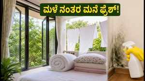 ಮಳೆ ನಂತರ ದೆಹಲಿ-ಎನ್‌ಸಿಆರ್‌ನಲ್ಲಿ ಶುದ್ಧ ಗಾಳಿ: ನಿಮ್ಮ ಮನೆಯನ್ನು ಫ್ರೆಶ್ ಆಗಿಡಲು ಈ ಸರಳ ಟಿಪ್ಸ್ ಪಾಲಿಸಿ!
