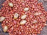 ಸಿಹಿ ಅಡಿಕೆಪುಡಿ ಮಾಡುವ ಮೂರು ಬಗೆ