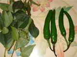    ಕರಿಬೇವಿನ ಹಸಿ ಹಸಿ ಚಟ್ನಿ ರೆಸಿಪಿ