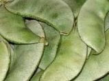 ರೊಟ್ಟಿ ಬೊಂಬಾಟಾಗಿದೆ ಬೊಂಬಾಟಾಗಿದೆ!