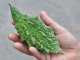 ಆರೋಗ್ಯಕ್ಕೆ ಸಿಹಿ-ಕಹಿ ಹಾಗಲಕಾಯಿ