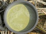 ಬೇವಿನ ಜ್ಯೂಸ್ ಕುಡಿಯುವುದು ಹೇಗೆ?