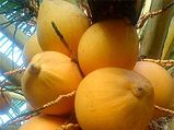ನೀರಿನ ಬದಲಿಗೆ ಸೇವಿಸಬಹುದಾದ 5 ಪಾನೀಯಗಳು
