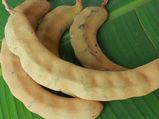 ಅಡುಗೆ ಕೋಣೆ ಹೊಳೆಯಲು ಇವನ್ನು ಬಳಸಿ