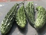 ಮಧುಮೇಹಕ್ಕಾಗಿ ಕಹಿ ಆಹಾರಗಳು : ಪ್ರಯೋಜನಗಳು
